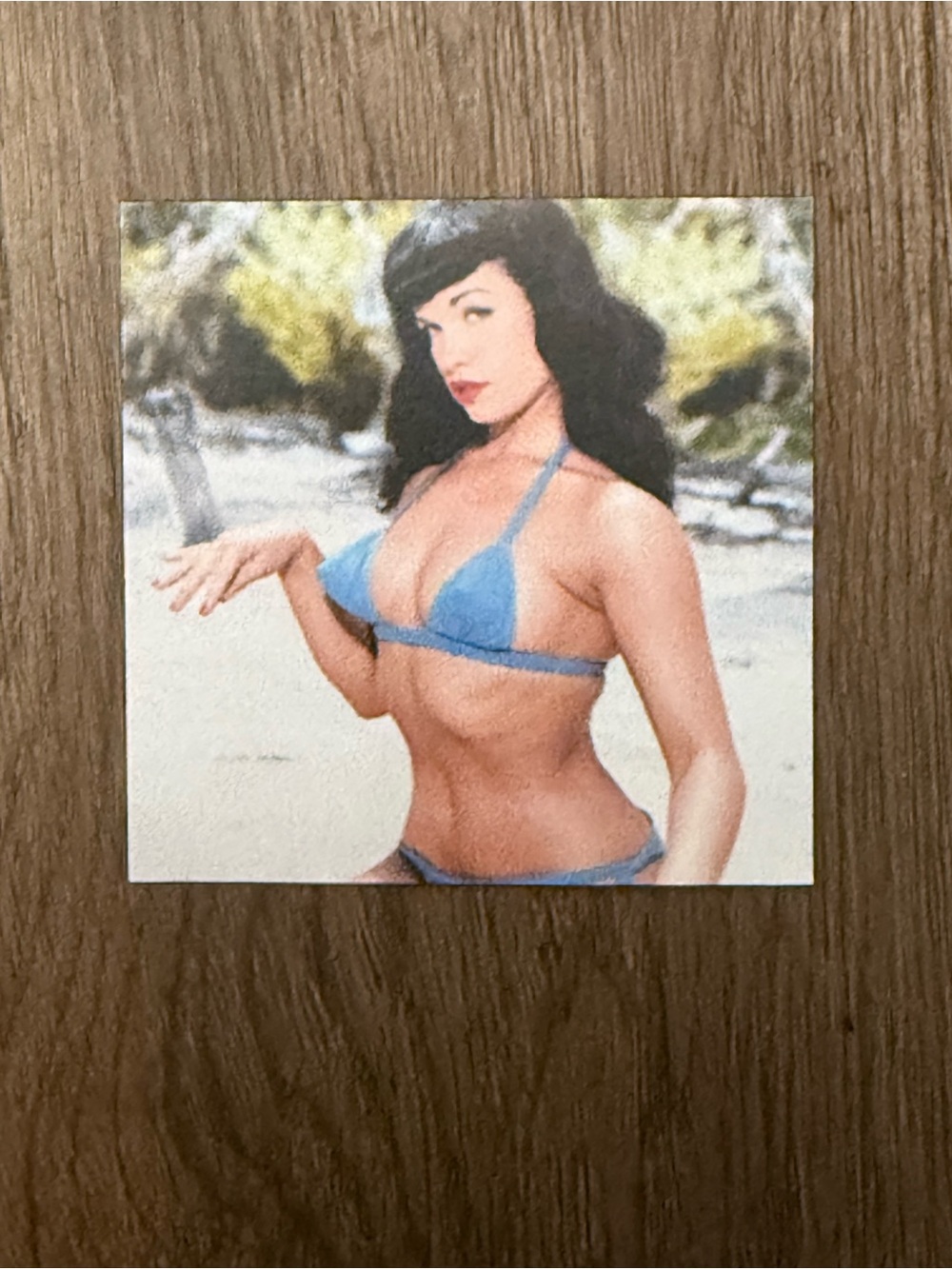 Bettie Page Pin-Up Magnet